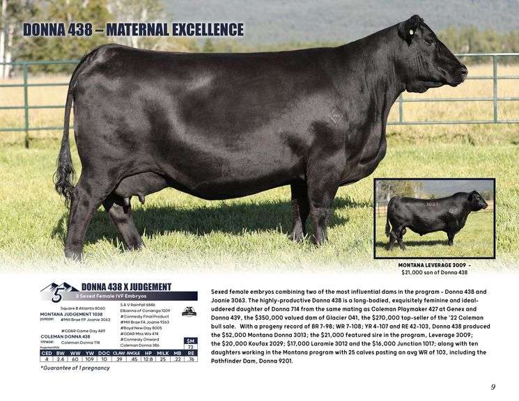 DONNA 438 x JUDGEMENT