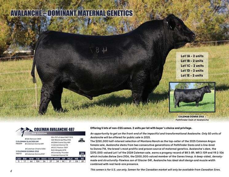 COLEMAN AVALANCHE 487