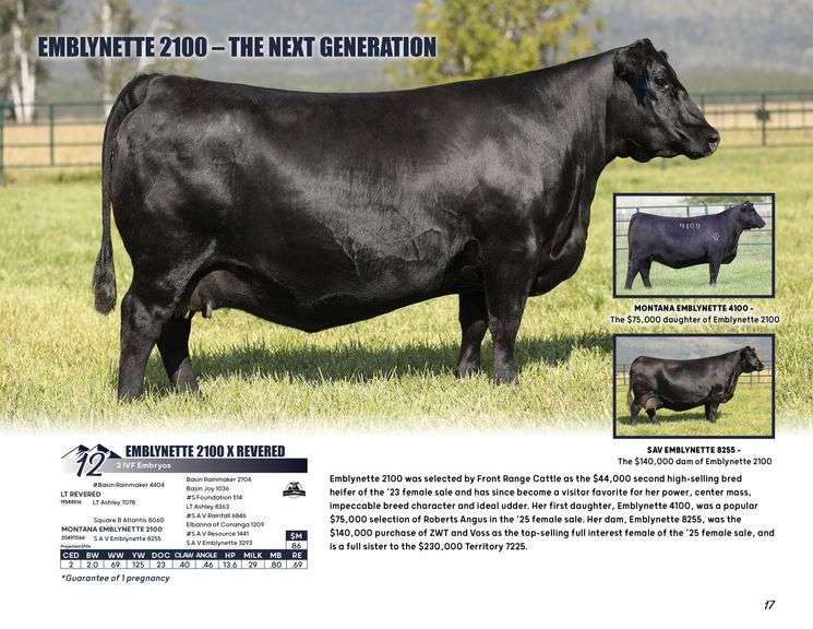 EMBLYNETTE 2100 x REVERED