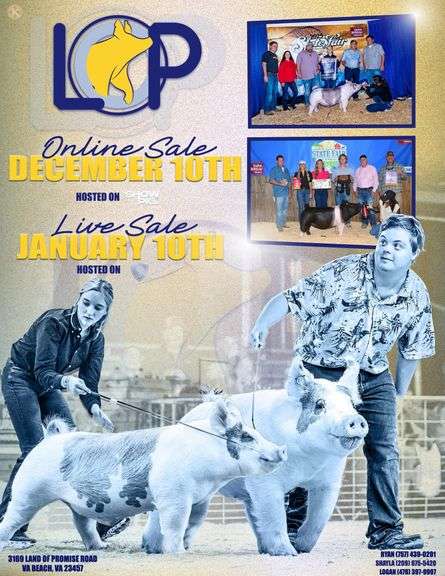 Land of Promise Show Pigs Sale 