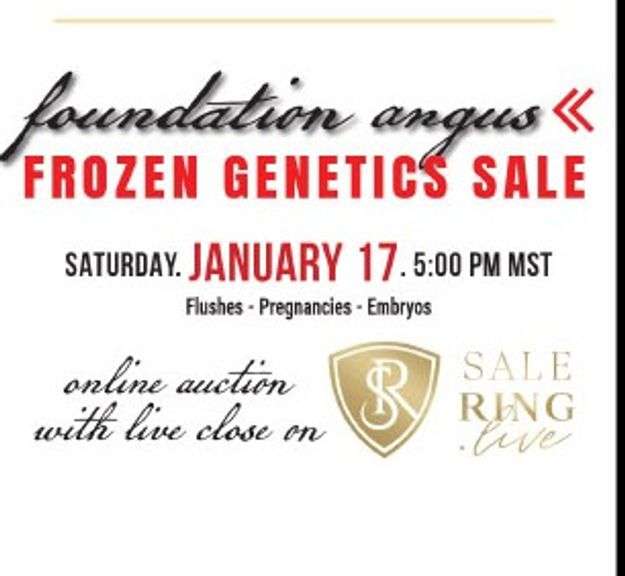 Foundation Angus Frozen Genetics Sale 