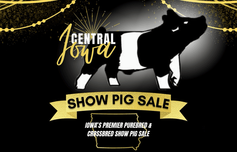 Central Iowa Showpig Sale 