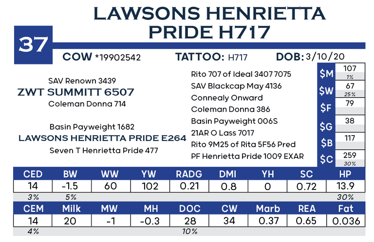 Lawsons Henrietta Pride H717