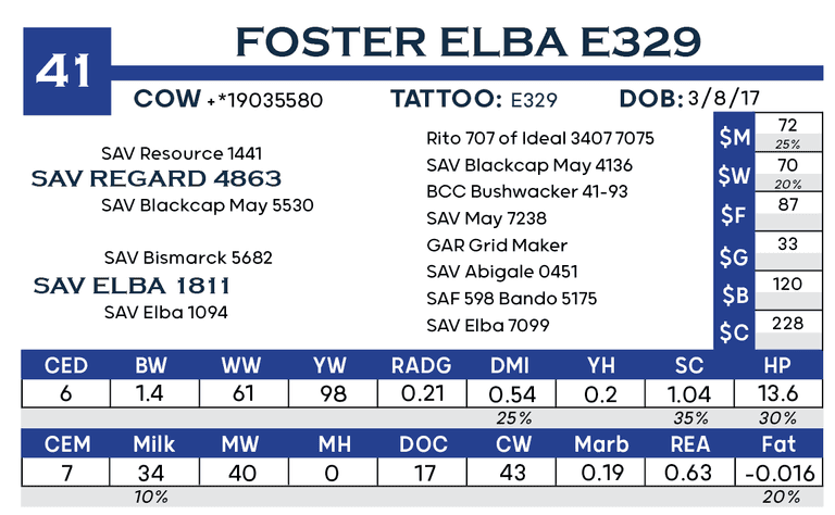 Foster Elba E329