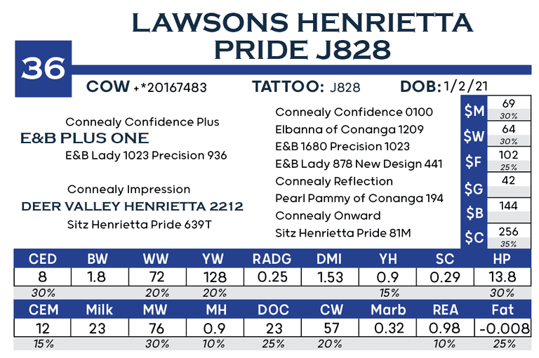 Lawsons Henrietta Pride J828