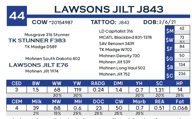 Lawsons Jilt J843