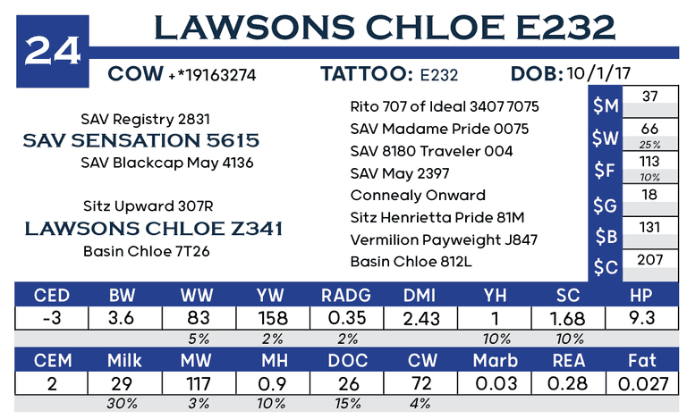 Lawsons Chloe E232