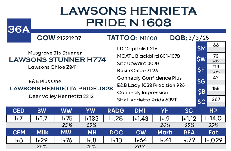 Lawsons Henrieta Pride N1608