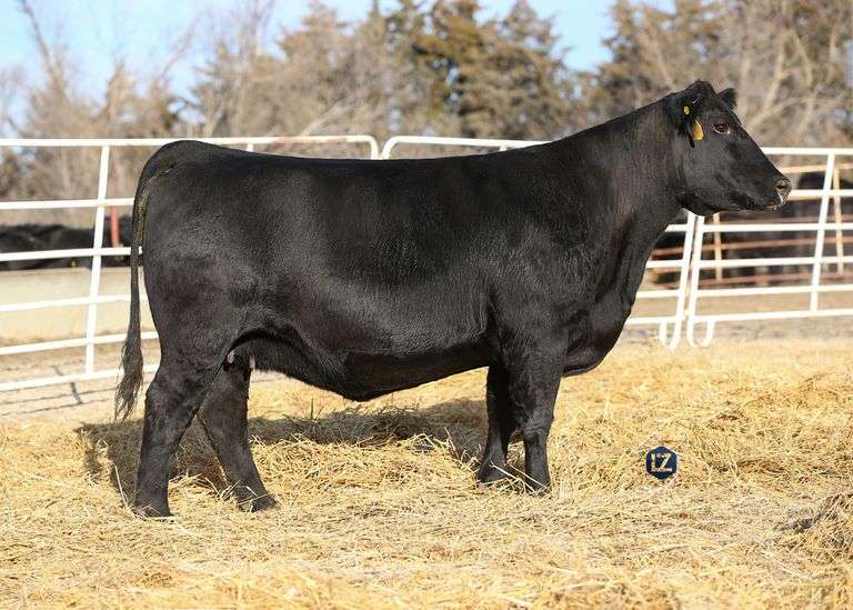 B&B Blkbd Progress 1032 Flush