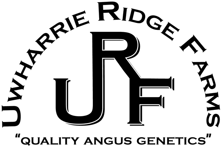 Uwharrie Ridge Farms Production Sale