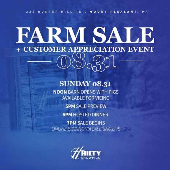Hilty Showpigs Farm Sale