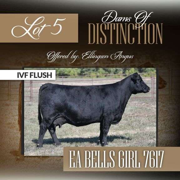 EA Bells Girl 7617 Flush