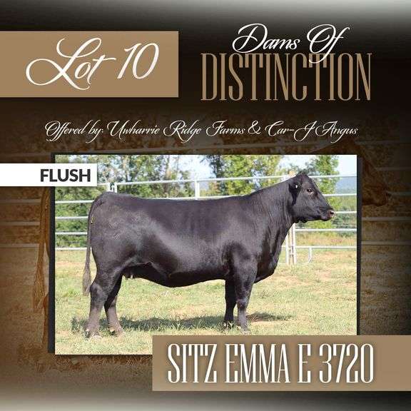 Sitz Emma E 3720 Flush