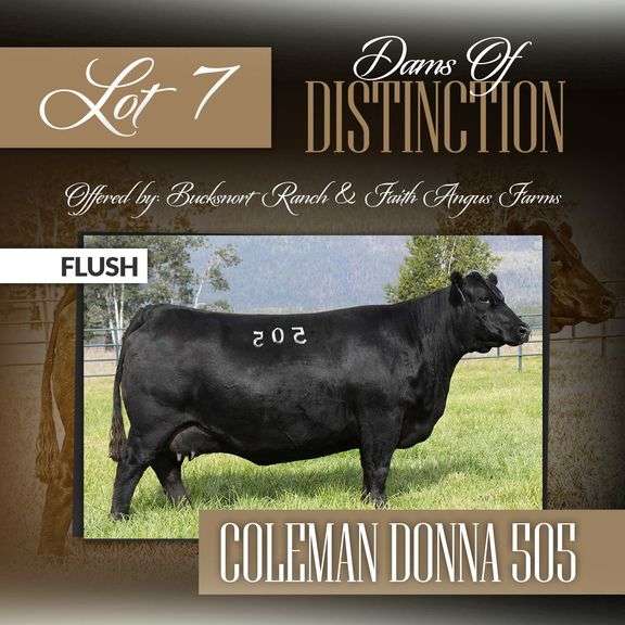 Coleman Donna 505 Flush