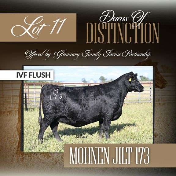 Mohnen Jilt 173 IVF Flush