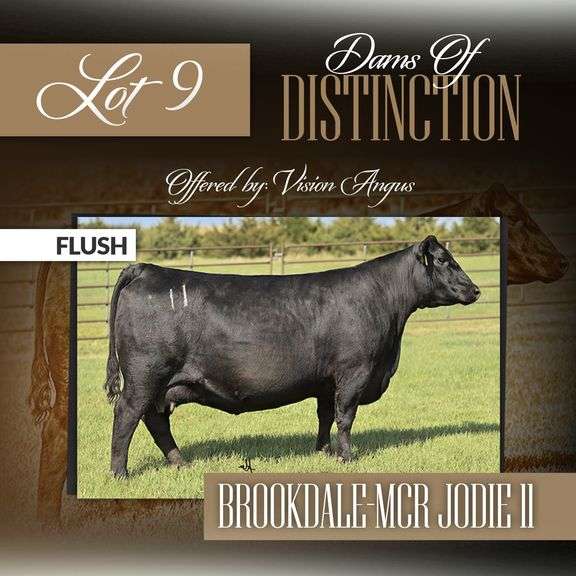 Brookdale- MCR Jodie 11 Flush