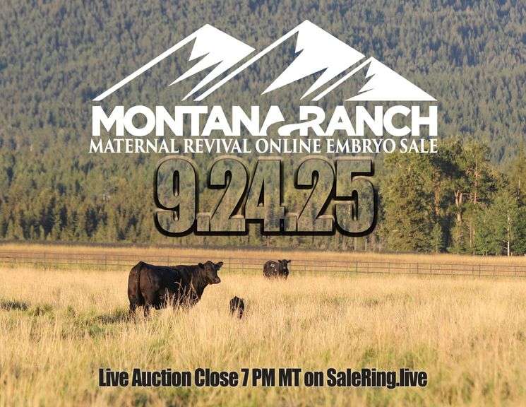 Montana Ranch Frozen Genetics Sale