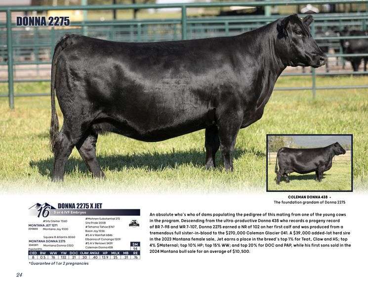DONNA 2275 x JET