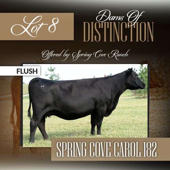 Spring Cove Carol 182