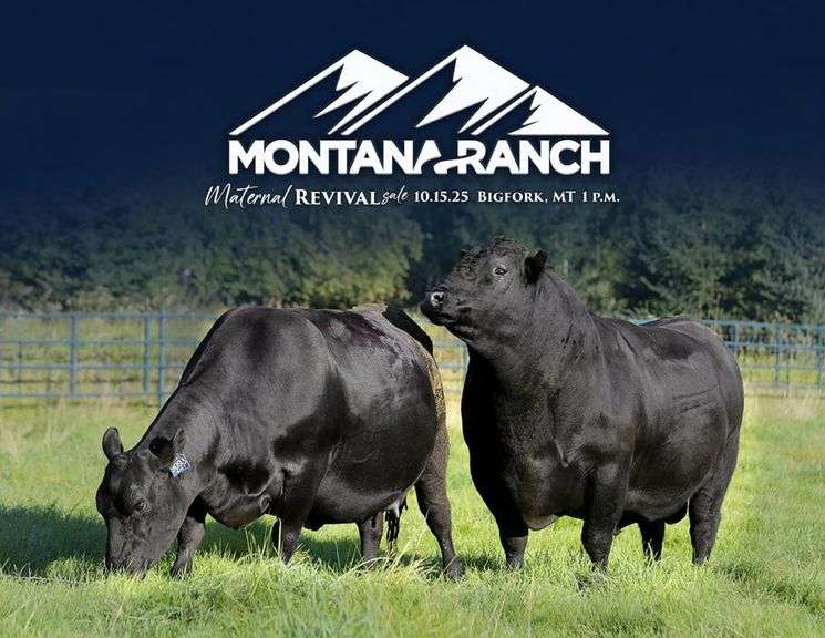 Montana Ranch Maternal Revival Female Sale