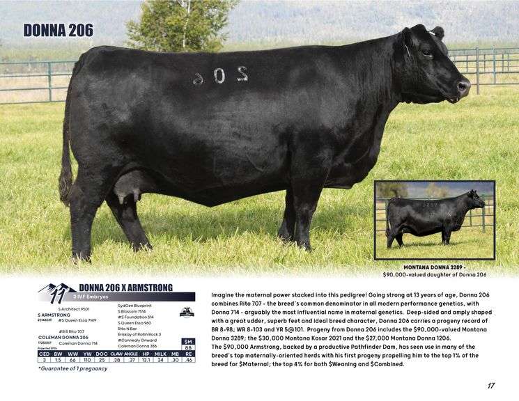 DONNA 206 x ARMSTRONG