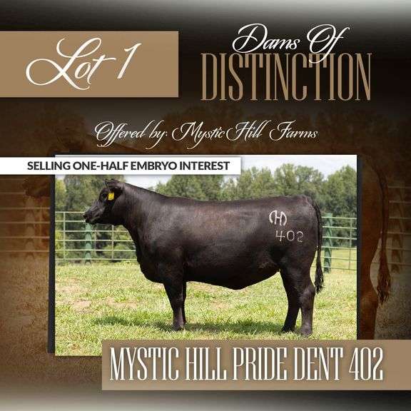 Mystic Hill Pride Dent 402