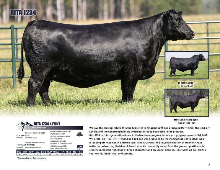 RITA 1234 x FLINT