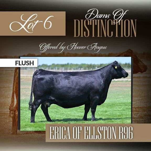 Erica of Ellston R96 Flush