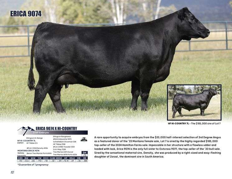 ERICA 9074 x HI-COUNTRY