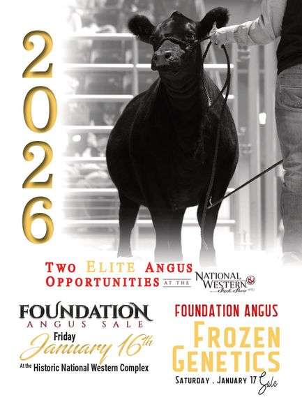 Foundation Angus Frozen Genetics Sale 