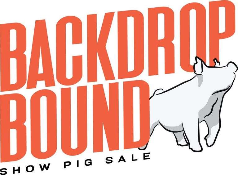 Backdrop Bound Showpig Sale