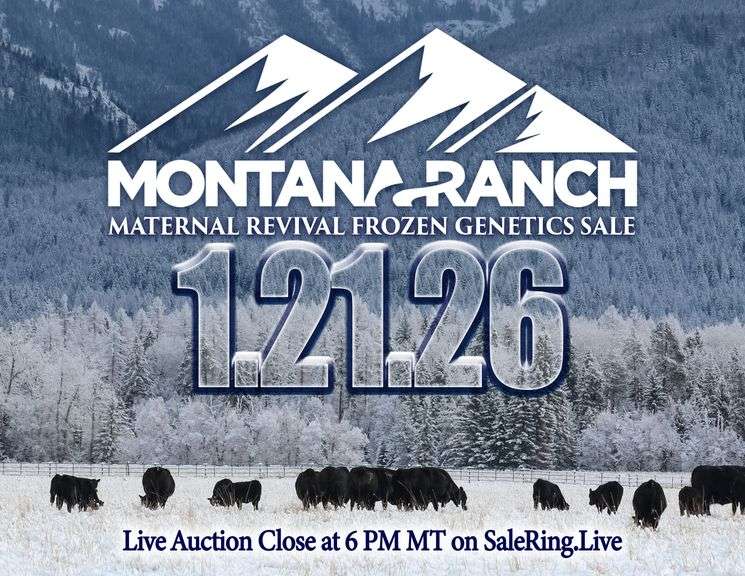 Montana Ranch Frozen Genetics Sale