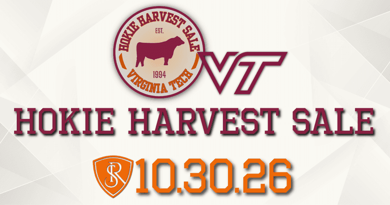 Virginia Tech Hokie Harvest Sale