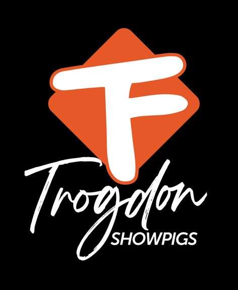 Trogdon Showpigs Sale 