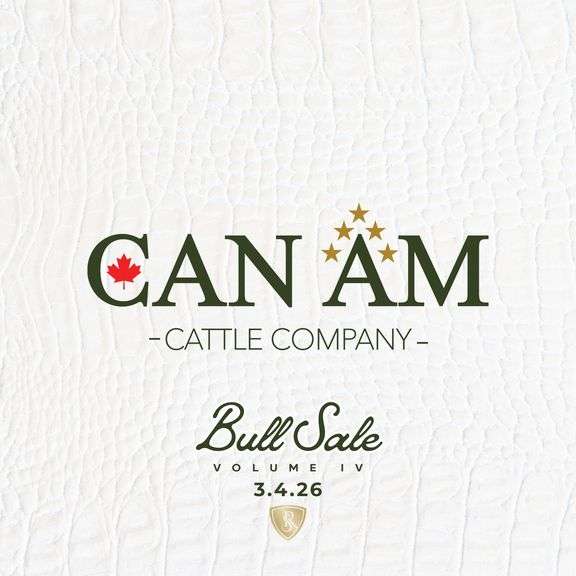 Can Am Cattle Company Online Bull Sale 