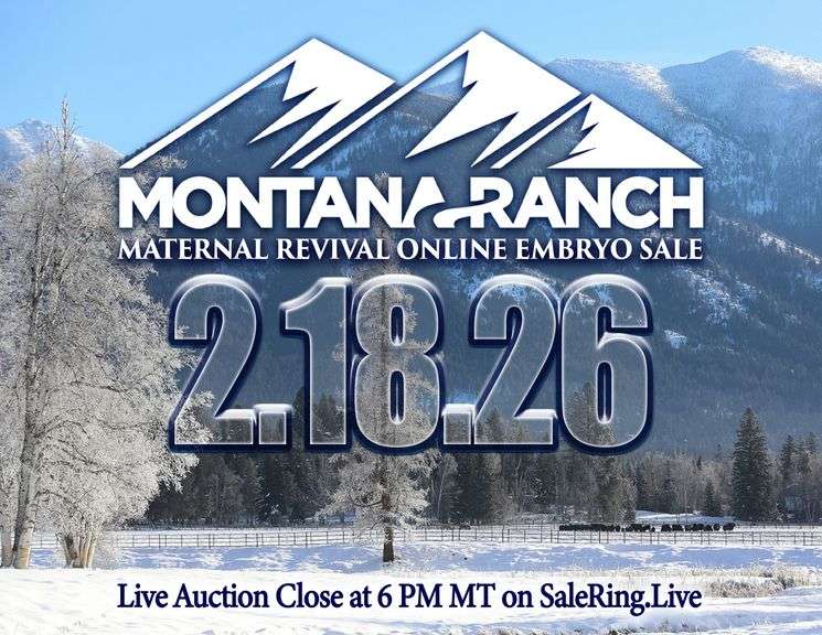 Montana Ranch Frozen Genetics Sale