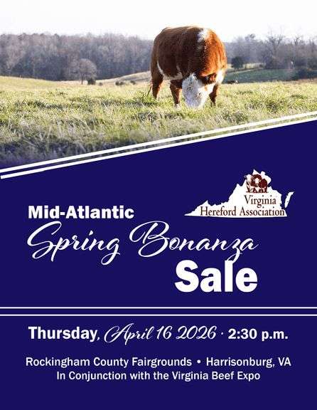 VA Hereford Sale @ VA Beef Expo 
