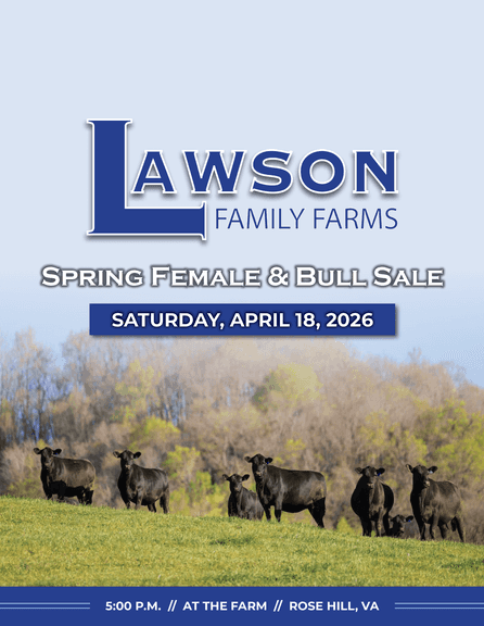 Lawson Family Farms Spring Female & Bull Sale