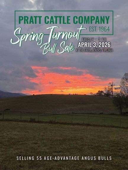 Pratt Cattle Company Spring Turnout Sale 
