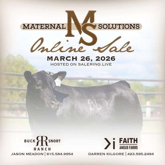 Maternal Solutions Online Sale