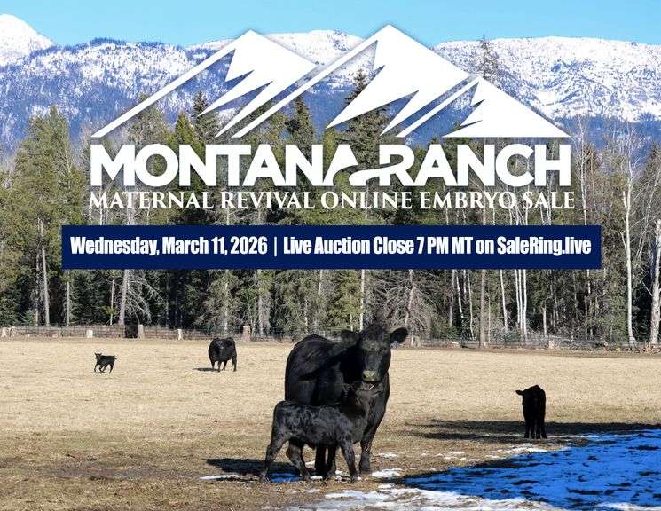 Montana Ranch Frozen Genetics Sale