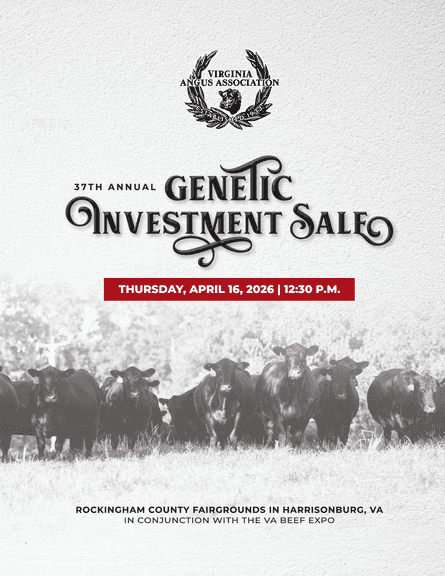 VA Angus Sale @ VA Beef Expo 