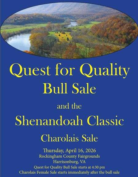VA Charolais Sale @ VA Beef Expo 