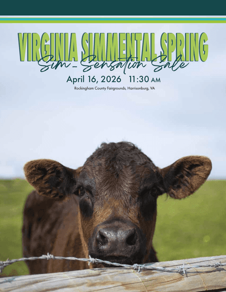 VA Simmental Sale @ VA Beef Expo 