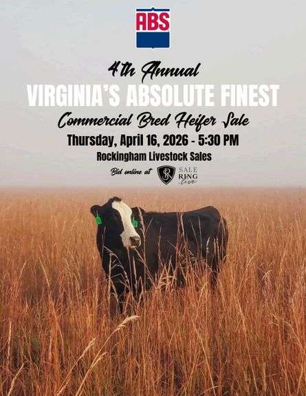 Virginia's ABSolute Finest Female Sale 