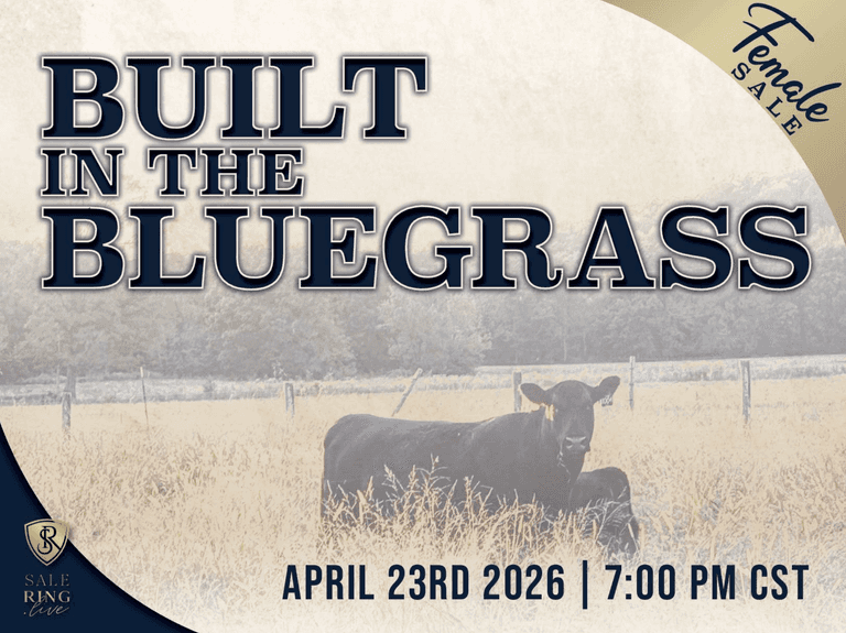 Built in the Bluegrass Female Sale 