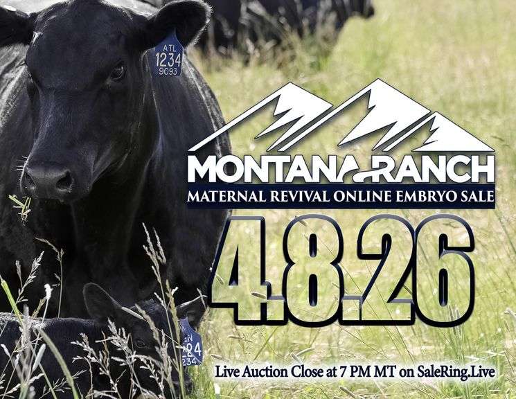 Montana Ranch Frozen Genetics Sale