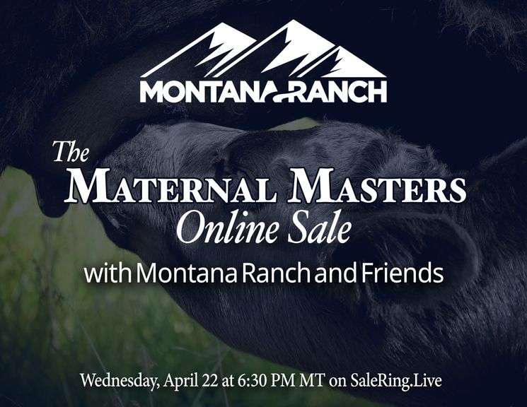 Maternal Masters Sale with Montana Ranch and Friends