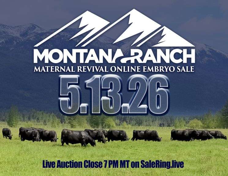 Montana Ranch Frozen Genetics Sale