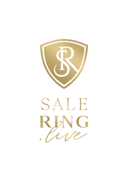 Pratt Cattle Company Black Friday Bull & Female Sale